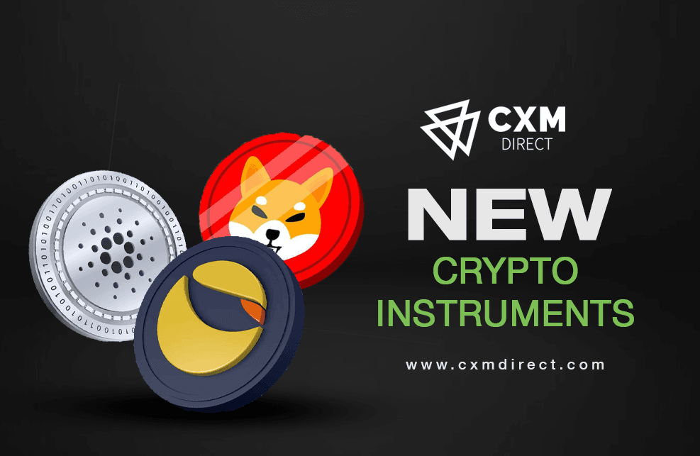 CXM डायरेक्ट के साथ क्रिप्टो क्रेज के लिए सभी बोर्ड!